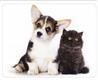 Коврик для мыши Buro BU-M40095 рисунок/котенок и щенок